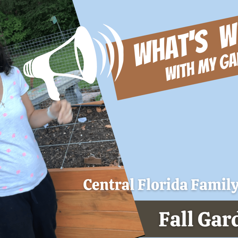 What’s Wrong With My&nbsp;Garden?