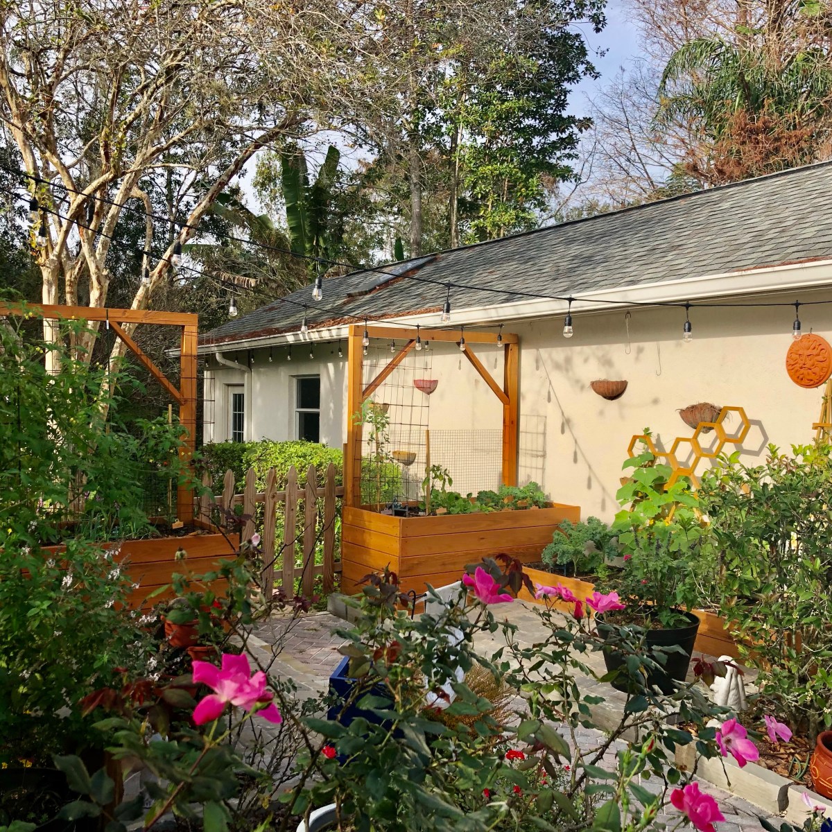 Gardening: Problem Solving